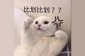 表情包：宝，有你真好图片