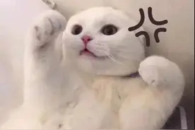 表情包：宝，有你真好图片