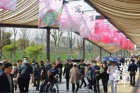7.8万人入园！2021扬州世园会全天候实战状态“迎考”图片