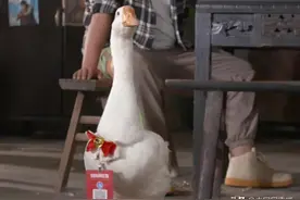 重庆一茶馆的大鹅“店小二”真特殊，倒茶不会，卖萌一流图片