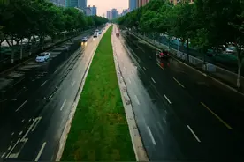 郑州金水路东段新修的花坛图片