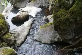 臭味难当！桂林一村的自来水竟散发猪屎味图片