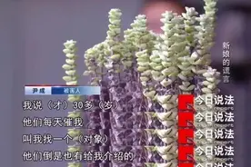 男子刷短视频时看到自己的妻子正在跟别人办婚礼图片