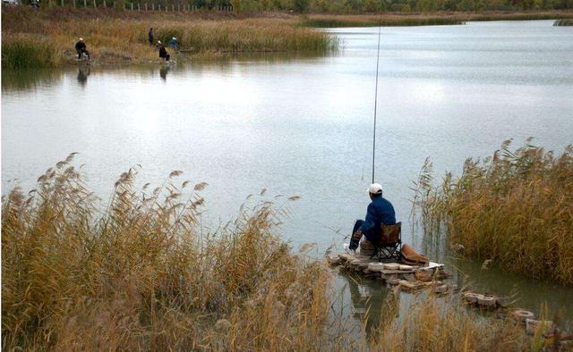 钓鱼小药使用手册（搭配技巧+27种常用小药用法）