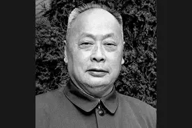 陈毅年轻时到上海，看到“华人与狗不得入内”，是什么反应图片
