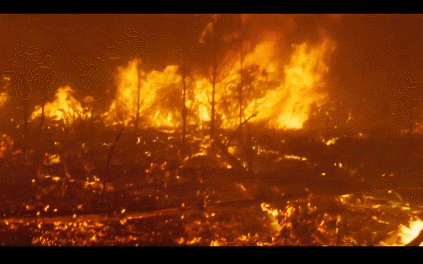 ��13����Ƭ������һ����Ӱ�ڣ������и���