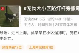宠物犬在小区路灯旁撒尿不幸触电死亡，主人向物业索赔5万！最新进展来了图片