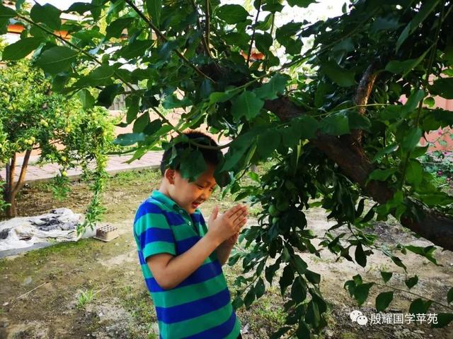 【固阳县】【【殷耀国学】乡土成语妙趣多】