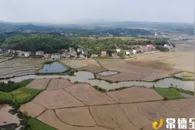 鼎城区通报5月农村人居环境“五好五差”乡镇图片