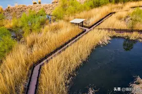绝美踏青好去处   带你逛逛太原汾河湿地公园图片