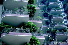 第四代住房是什么？好在哪里？为何会出现第四代住房刷屏的情况？图片