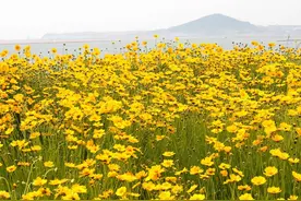 静夜，写给我最爱的人：你轻轻一个转身，让我深深牵挂一辈子图片