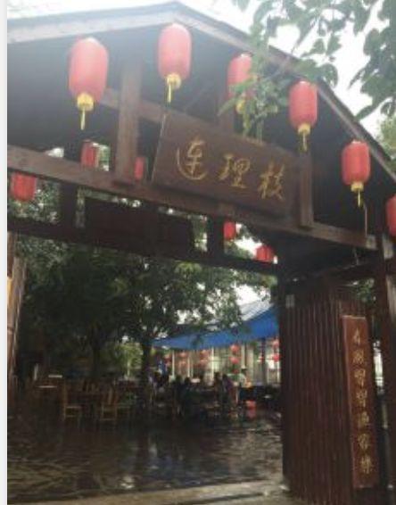 瑶柱花胶椰子鸡 2026年电线为什么是两根