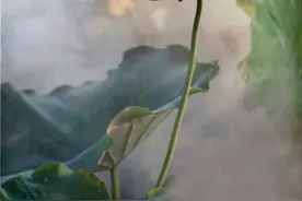《易经》中最棒的十种思维图片