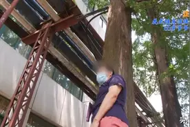 “花式健身法”——撞树缓解肩背痛 65岁爹爹险些瘫痪图片