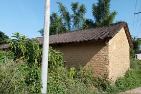 我家的老房子图片