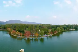 这才是南京速度，这才是南京温度图片