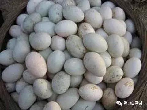 【文化节特辑】为期7天!6月1日-7日 2019·宜秀第三届龙舟文化节农耕体验精彩系列活动看过来!