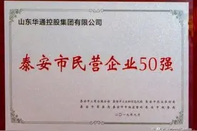 2019泰安市民营企业50强名单公布！肥城市17家，高新区8家图片