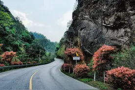 沩山密印寺，禅宗五叶之首｜99.19米千手观音大佛祥光普照图片