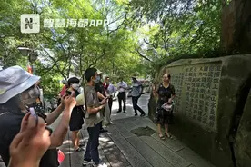 摩崖题刻引世遗代表关注，乌山之巅互鉴保护经验图片