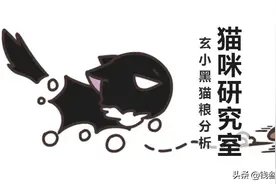 玄小黑猫粮分析，居然还有蟑螂做的猫粮？居然还不错？图片