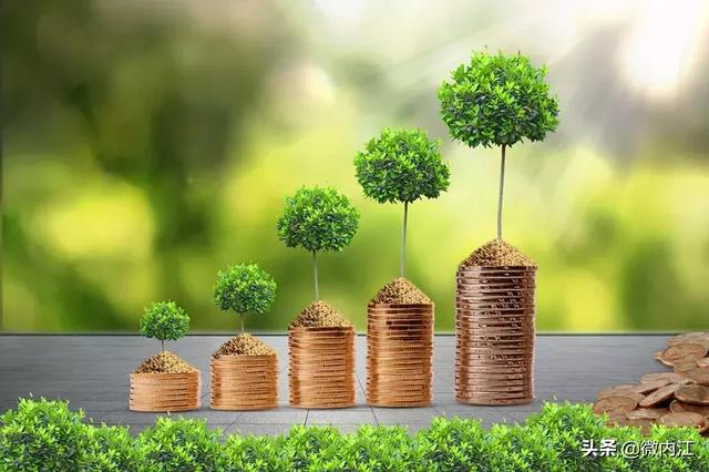 整整十年！内江人把它养出来了！