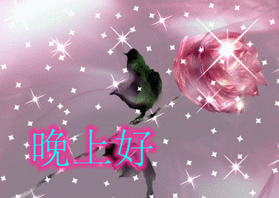 400_283gif 动态图 动图