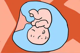 怀孕最佳时间为何是八月前后？图片