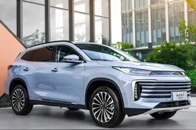 星途凌云：2.0T有400N·m！骨架巨硬！奇瑞中型SUV即将上市图片