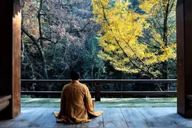 静坐冥想：模仿莲花的形态，自然地被疗养图片