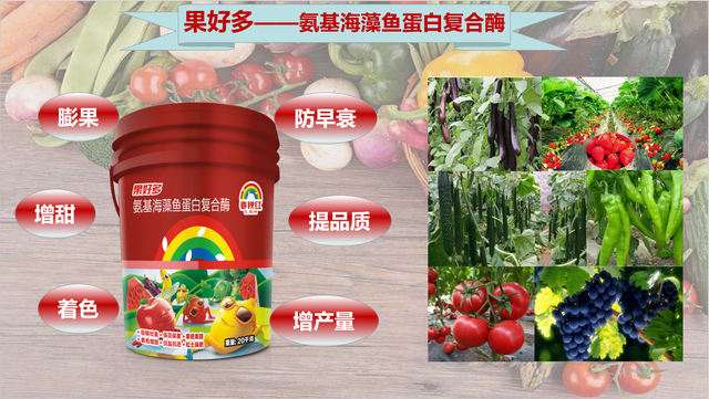 氨基酸科普知识，为什么有18种氨基酸肥料这么热销