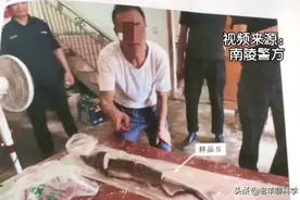 价值50万：野生中华鲟被捕杀，男子水坑中抓怪鱼真不认识中华鲟？图片