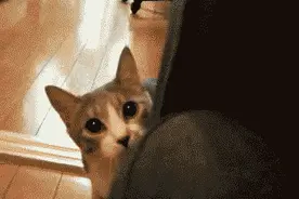 顺德7岁女娃玩捉迷藏，被反锁密闭储物室！小伙伴没发现各自回家了图片