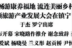 畅游康养福地 流连美丽乡村 第八届安顺旅游产业发展大会在镇宁自治县举行图片