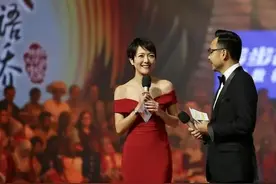 汪涵夫妇：“半路夫妻”的财情危机图片