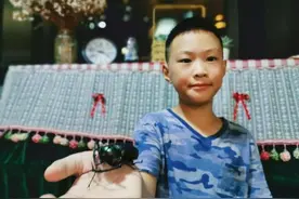 成都发现阳彩臂金龟，我国1982年就宣布灭绝，为何会再次出现？图片