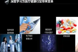 深度学习模型（DL）在超声影像中的应用图片