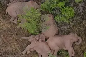 一集惊动央视，这档“国产慢综艺”怎么能火2个月？图片