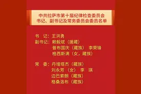 拉萨市新一届市纪委书记、副书记及常委名单图片