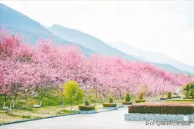 关于湖北的30个冷知识！你确定都知道吗？图片