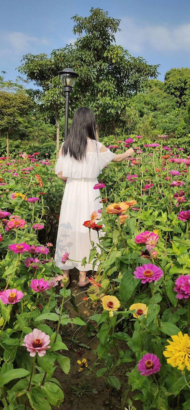 女人吃燕窝有什么功效 女人吃燕窝有什么功效和禁忌