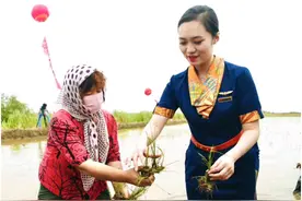 空姐穿短裙制服田中插秧，网友众怒：请别消费农民图片