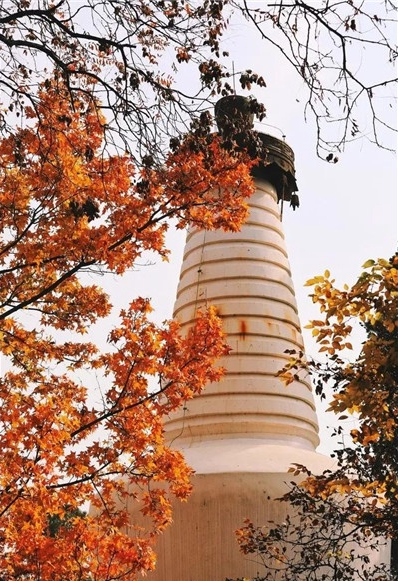 京城十二座著名古寺，祈求什么最灵验？赶紧看过来