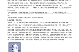 中考生物动物篇—熊图片