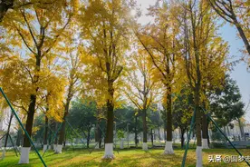 推荐给河北文科生的二本大学  2020高考生请查收图片