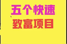 五个快速致富项目，农村人想发家的过来学，很真实图片