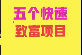 五个快速致富项目，农村人想发家的过来学，很真实图片