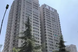 女白领正在上班，突然从12楼离奇坠落！丈夫讲述事发经过，匪夷所思图片