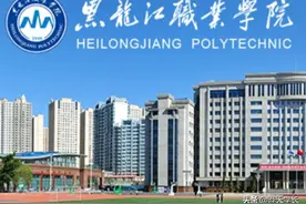 黑龙江职业学院2021单招录取分数线图片
